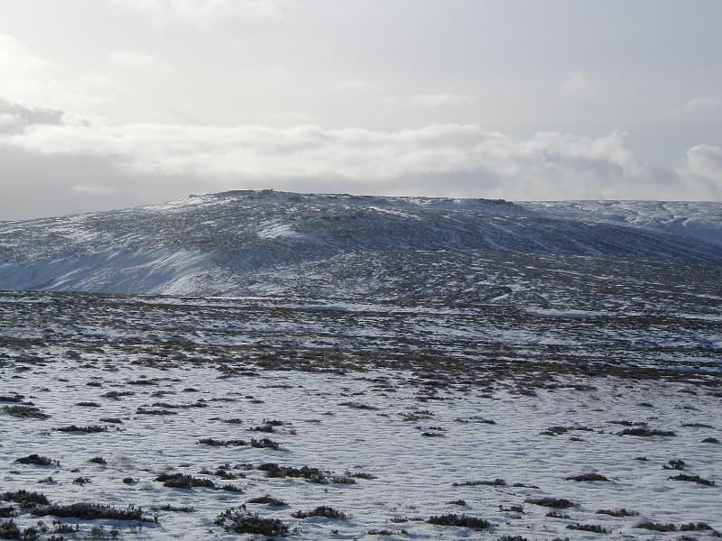Bradfield 09 012.jpg